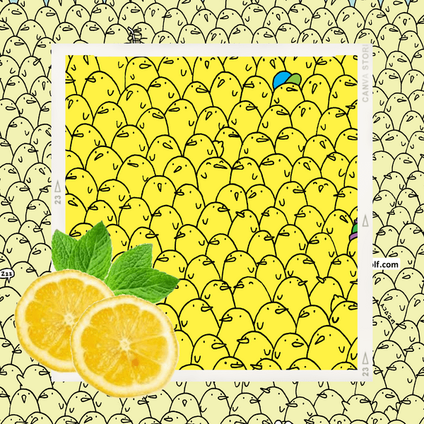 Тест на внимательность: Спорим, ты не сможешь найти пять лимонов среди цыплят?