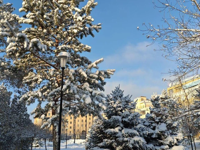 Пейзаж напоминает города за Уралом, где снег — обычное дело. | Источник: читатели V1.RU