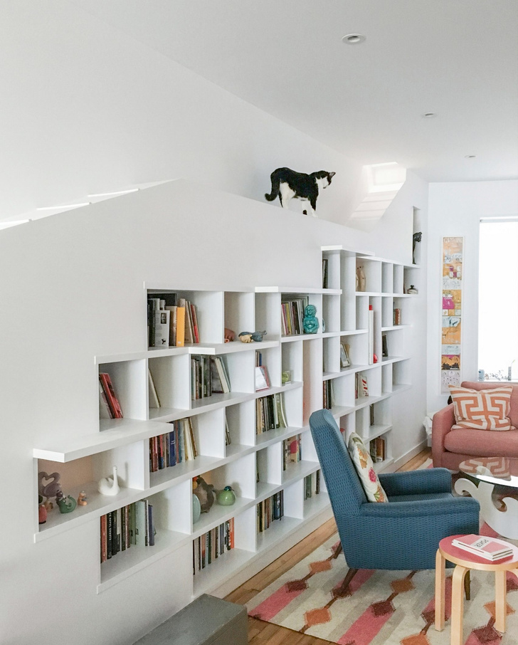 «Дом для любителей кошек и книг» в Бруклине (фото 4)