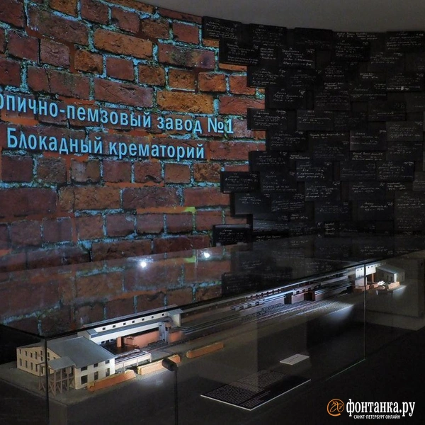 Источник: Михаил Огнев / FONTANKA.RU