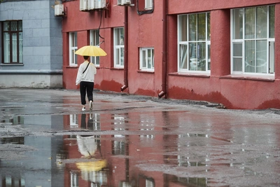 Погода в Новосибирске на три дня: дожди, ветер, потепление