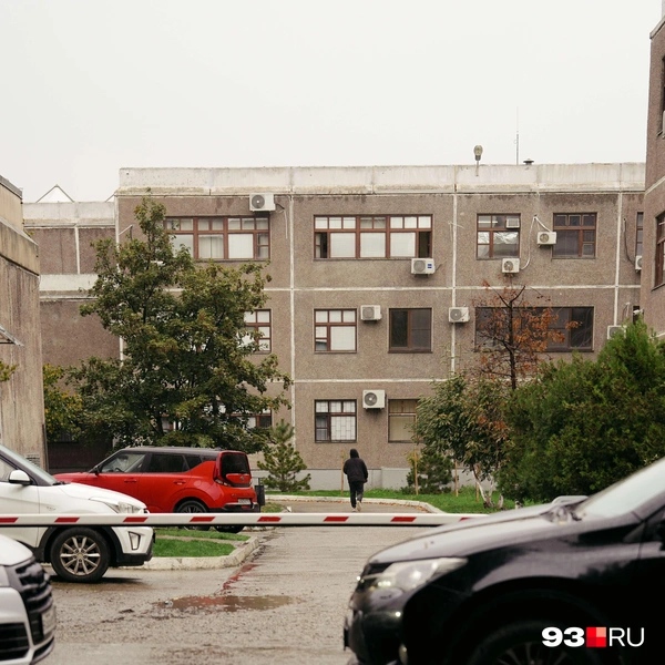 Источник: Дарья Паращенко / 93.RU