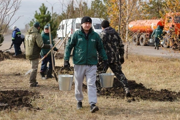 Все деревья тщательно пролили водой, чтобы корни напитались влагой | Источник: ТГК-13