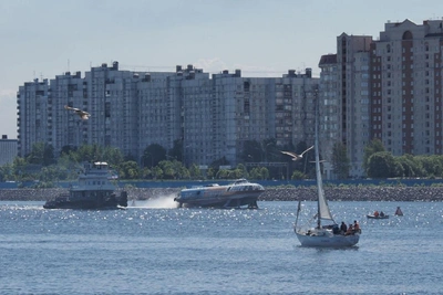 Жара с передышкой: погода в Петербурге на выходные