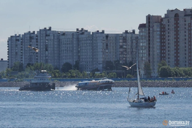 Аномальная жара и небольшая передышка: прогноз погоды в Петербурге на выходные | Источник: Михаил Огнев / FONTANKA.RU