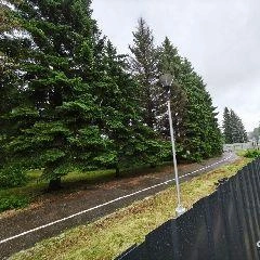 Источник: city-n.ru