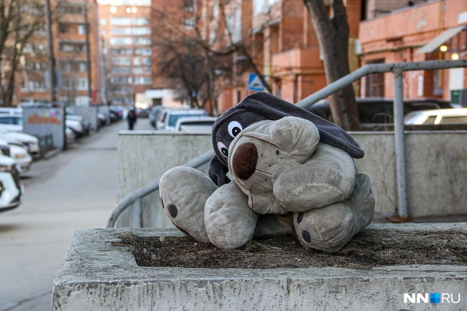Удивительно, но даже в центре города дворы «украшают» мягкими игрушками | Источник: Наталья Бурухина / NN.RU