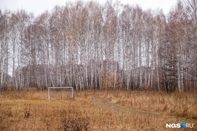 Застройщикам предлагают осваивать территорию радиоцентра в Верх-Тулинском сельсовете | Источник: Александр Ощепков / NGS.RU