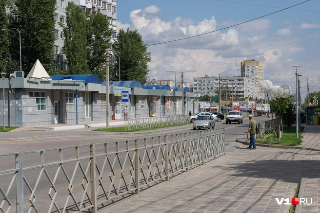 А одуванчики хороши, согласитесь? | Источник: Алексей Волхонский / V1.RU