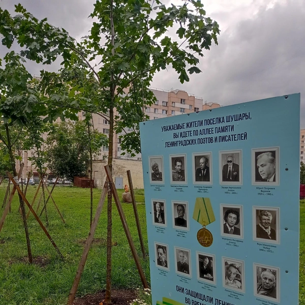 Так выглядела аллея в прошлом | Источник: Шушары