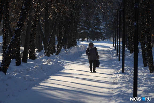 В Первомайском сквере уже давно работают гирлянды. Чувствуете новогоднее настроение? | Источник: Андрей Бортко / NGS.RU