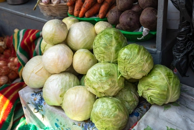 Эксперт: капуста помогает заживлять слизистую ЖКТ
