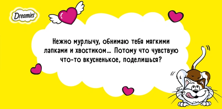 Получи валентинку от котика! Самый замечательный способ отметить День влюбленных