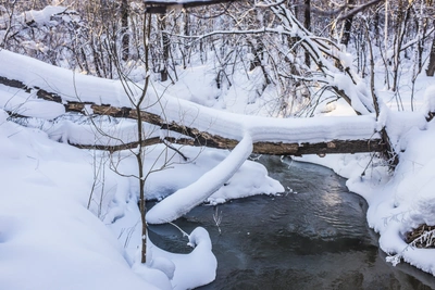 Сибирячка опасается подтопления у Ельцовки-2, мэрия говорит о ремонте