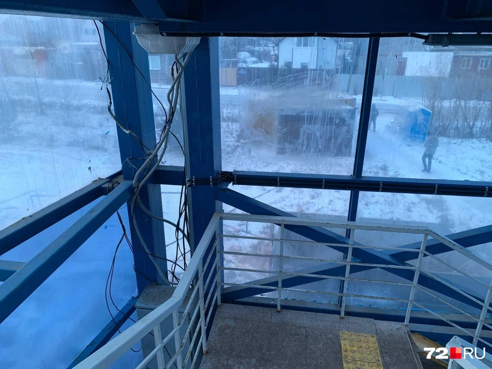 Источник: Никита Кифорук / 72.RU