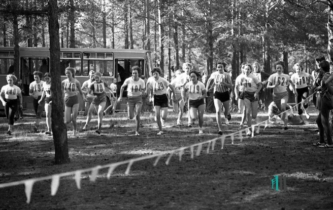 Участники областного комсомольско-профсоюзного кросса, 1977 год  | Источник: Государственный архив Пермского края, фото Анатолия Долматова