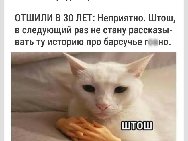Что ж там за история | Источник: Городские медиа
