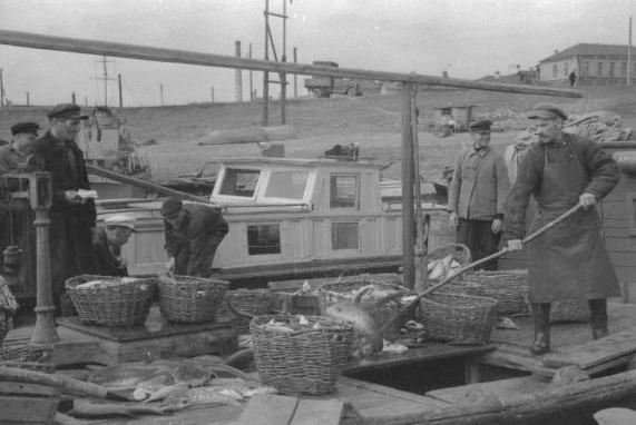 Рыбаки рыболовецкого колхоза имени XVI партсъезда Приволжского района. 1954 год | Источник: фотофонд Самарского областного госархива социально-политической истории