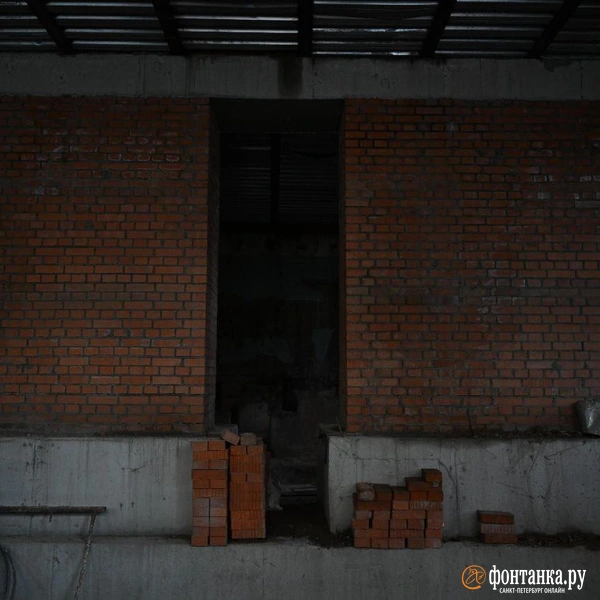 Источник: Андрей Бок / «Фонтанка.ру»