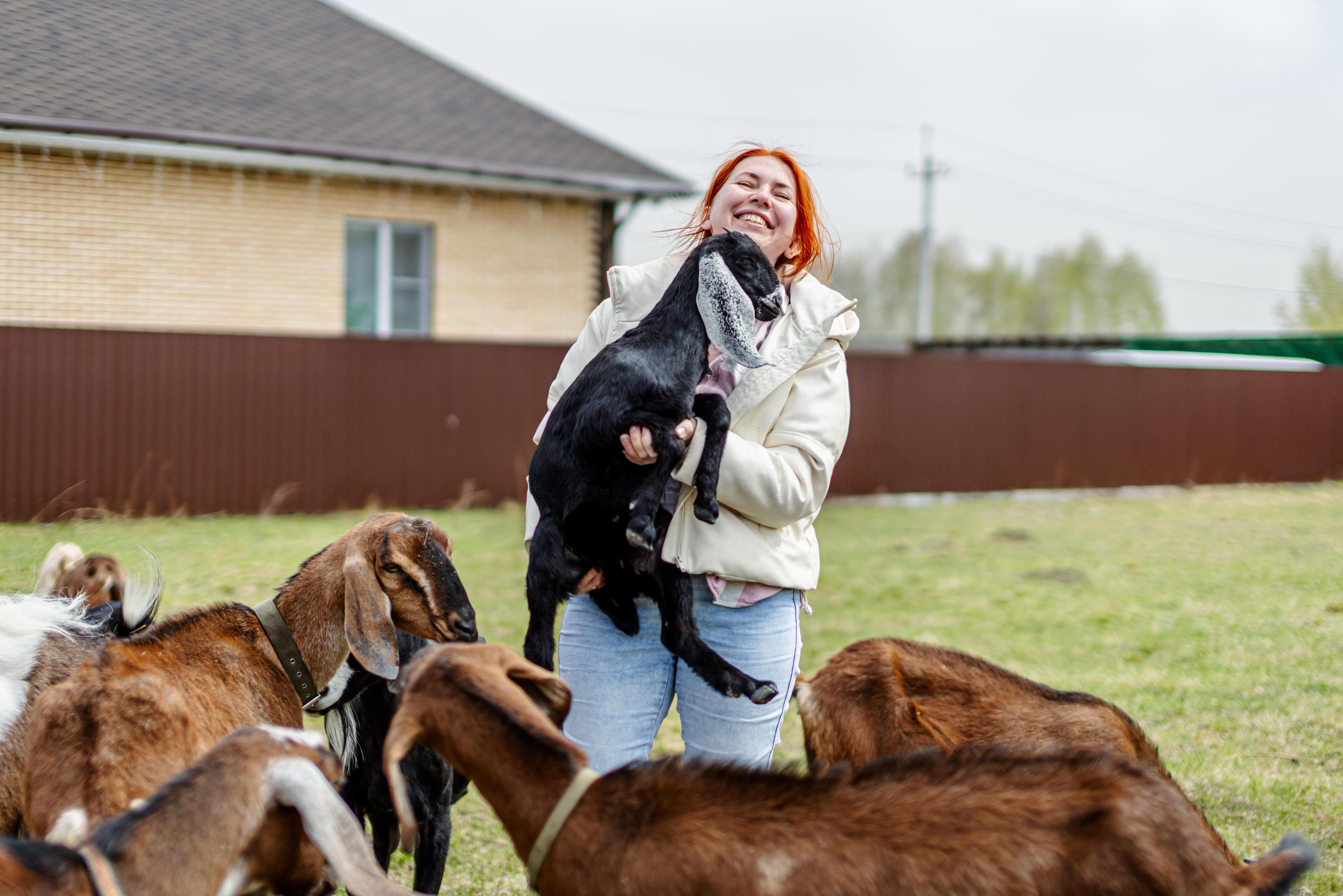 «За натуральность покупатели не жалеют денег». Как семья переехала за город и занялась сыроварением, теперь у них 18 коз