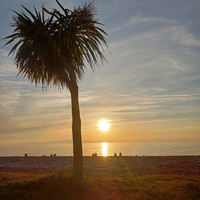 Аватарка Анна