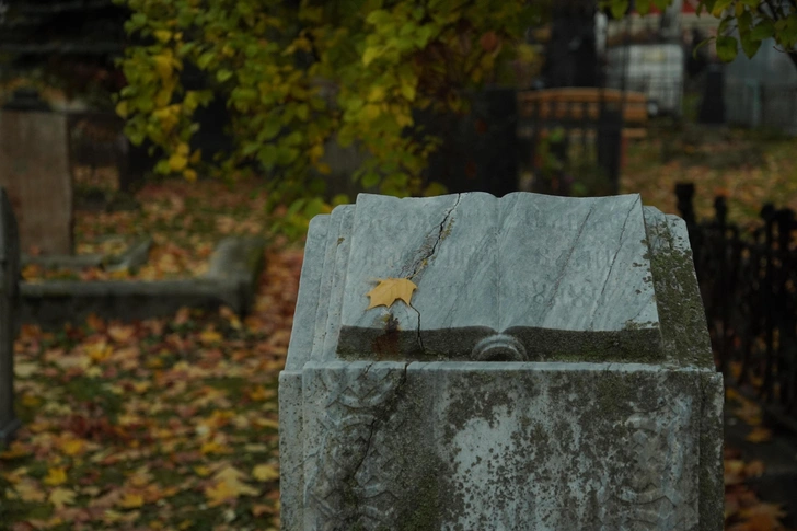 Загадочные склепы, ангелы и плакальщицы: 3 самых красивых кладбища Москвы