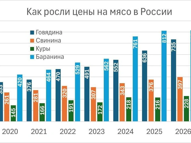 Динамика розничных цен на мясо в РФ, данные Росстата | Источник: Фонтанка.ру