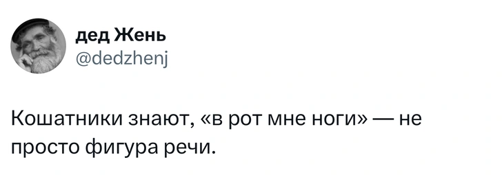 Источник: Twitter (X)