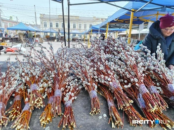А вот эти роскошные букеты стоят 250 рублей