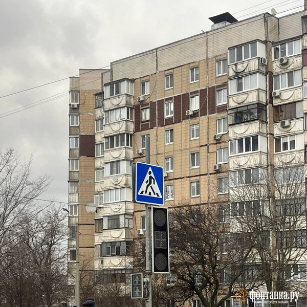 Источник: Кира Зубкова / «Фонтанка.ру»