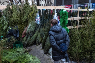 Ёлочные базары в Туле: адреса и режим работы на 2025 год