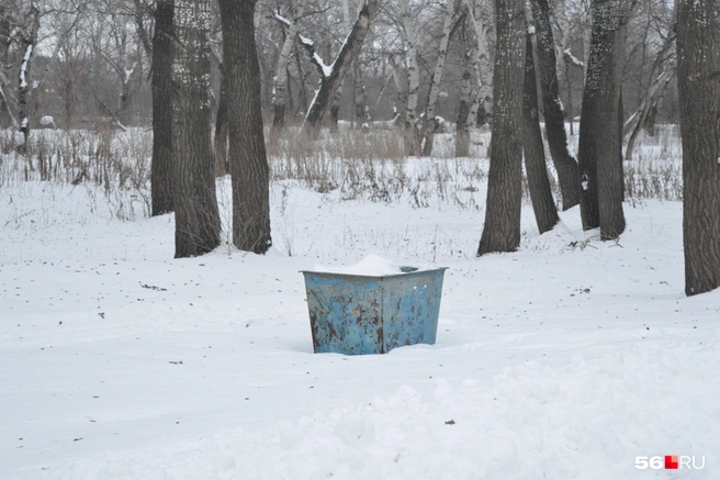Мусорные баки в парке только такие | Источник: Анастасия Баринова / 56.RU