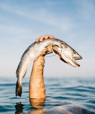 Легко: ловить рыбу голыми руками