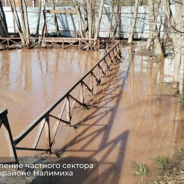 Часть территории Налимихи сейчас выглядит так | Источник: Эдуард Соснин / Telegram