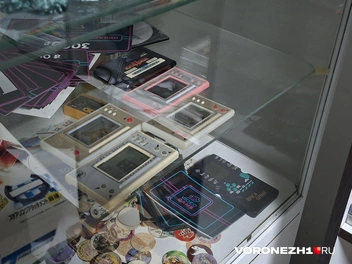 Источник: Алёна Воропаева / Voronezh1.ru