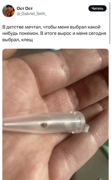 Источник: X (Twitter)