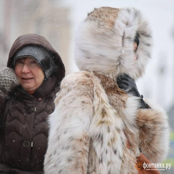 Снегопад в Петербурге 20 февраля 2026 года | Источник: Валентин Егоршин / «Фонтанка.ру»