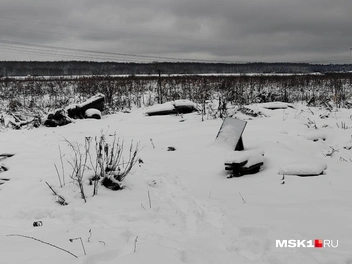Из под снега вылезает много разных материалов | Источник: Михаил Мечев / MSK1.RU