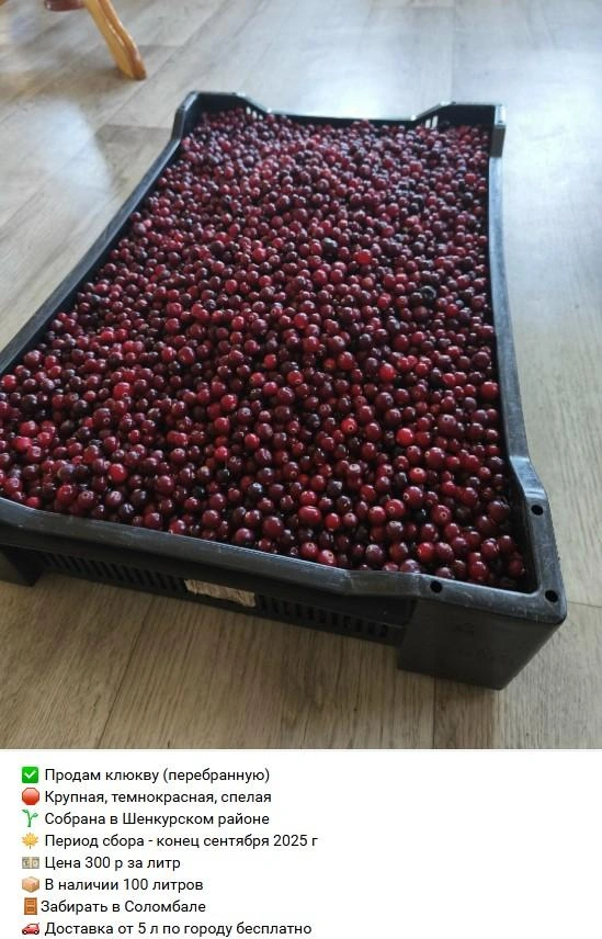 Источник: Архангельский онлайн рынок. Куплю. Продам. / Vk.com