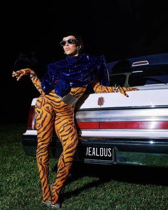 &laquo;Тигр&raquo; сместит &laquo;леопарда&raquo; в 2026 году