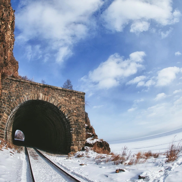 Источник: stock.film/Shutterstock/Fotodom.ru