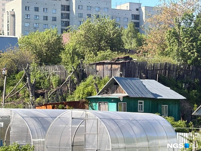 Частные дома тут граничат с дачами с одной стороны и с многоэтажками — с другой | Источник: Настасья Медведева / NGS.RU