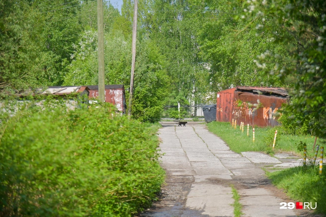 Источник: Иван Митюшёв