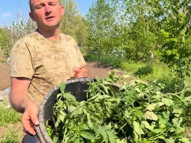 Расскажите о своих методах выращивания томатов. | Источник: Николай Злыднев