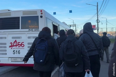В Череповце неделю ищут безбилетников в автобусах