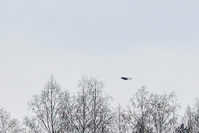 Tula Region Declares Drone Attack Alert After Two Weeks