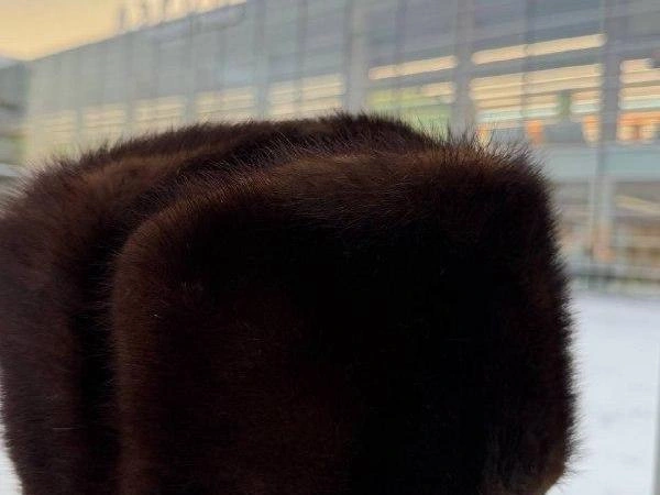 Именно эту шапку-ушанку вручили музыканту. | Источник: читатель 74.RU