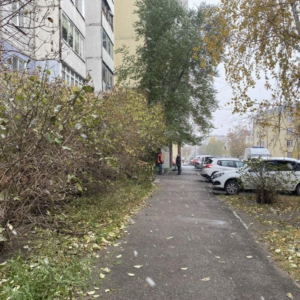 Источник: NGS22.RU