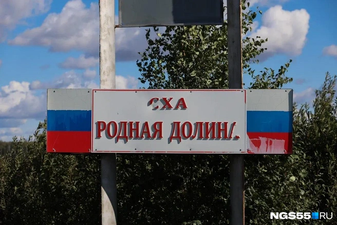 «Родная Долина» — одно из крупнейших и старейших сельхозпредприятий не только Москаленского района, но и всей Омской области | Источник: Евгений Софийчук / NGS55.RU