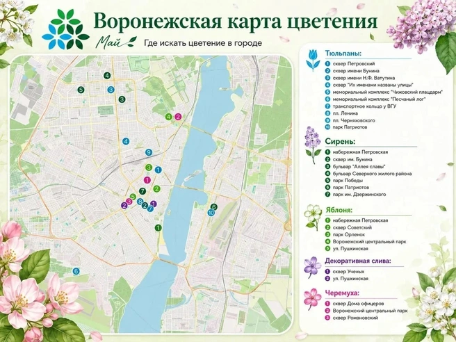 Источник: администрация Воронежа / max.ru